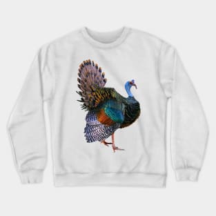 Ocellated Turkey Crewneck Sweatshirt